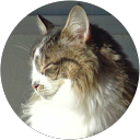 Gary Jasmann profile picture